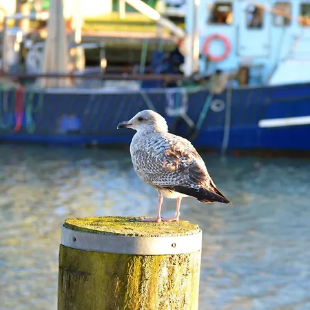 Ankerglueck Apartament *